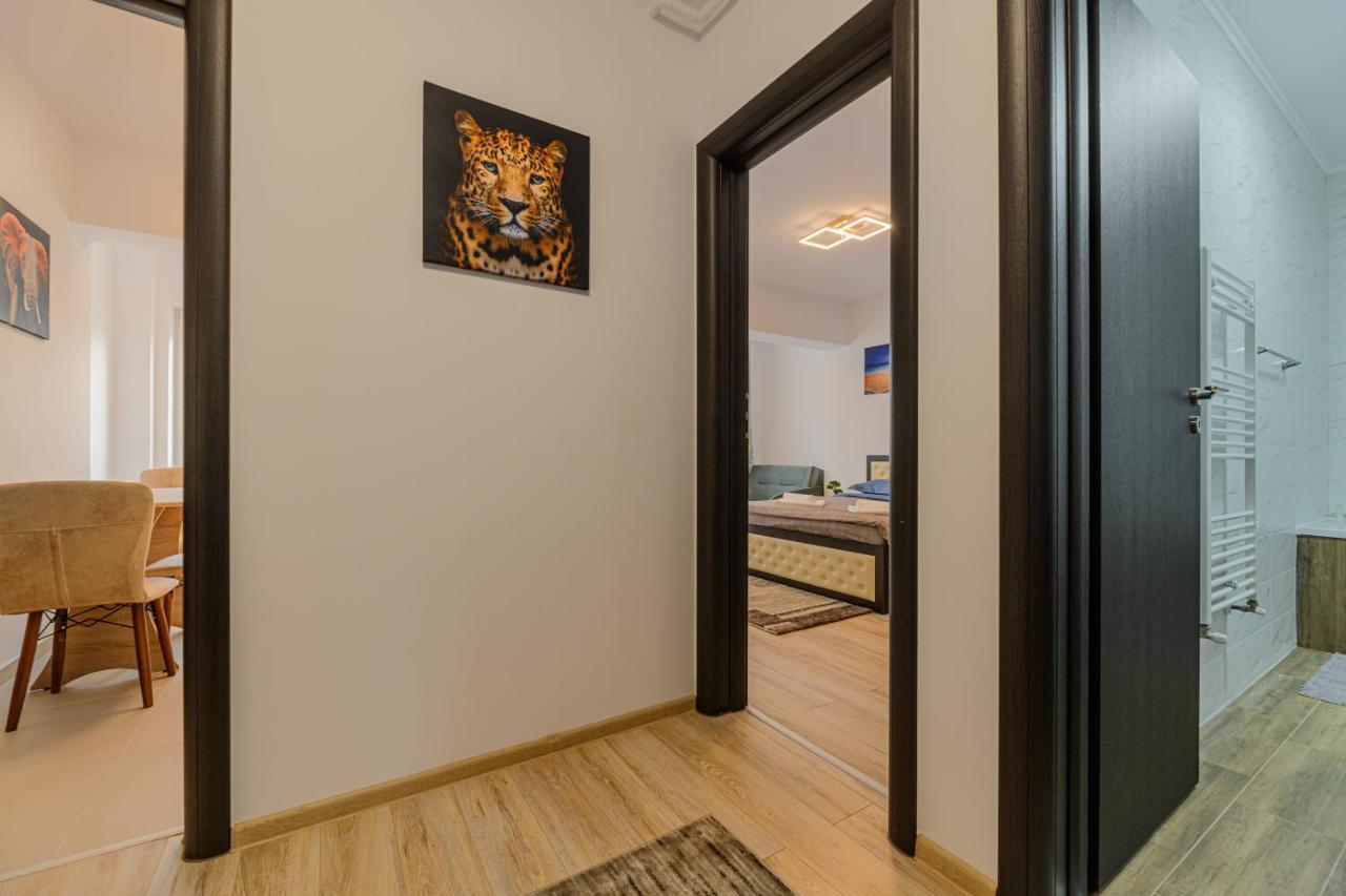 Zen Apartments Брашов Екстериор снимка